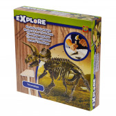 Kit de excavare dinozaur Triceratops  SES 100053 2