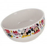 Bol din ceramică cu imagine Minnie Mouse în cutie cadou, 500 ml Minnie Mouse 101196 2