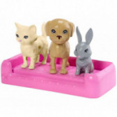 Set schimbare de culoare Barbie - cu câine și pisoi pentru fete  101713 5