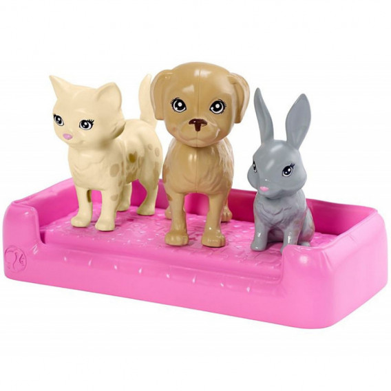 Set schimbare de culoare Barbie - cu câine și pisoi pentru fete  101713 5