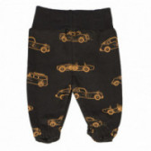 Pantaloni pentru bebeluși din bumbac cu imprimeu Pinokio 102832 2