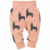 Pantaloni din bumbac cu elastic lat pentru bebeluși Pinokio 102871 