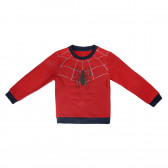 Pulover roșu cu imprimeu păianjen pentru băieți Spiderman 1053 