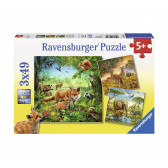 Puzzle 3 în 1 cu animale 2D Ravensburger 10947 