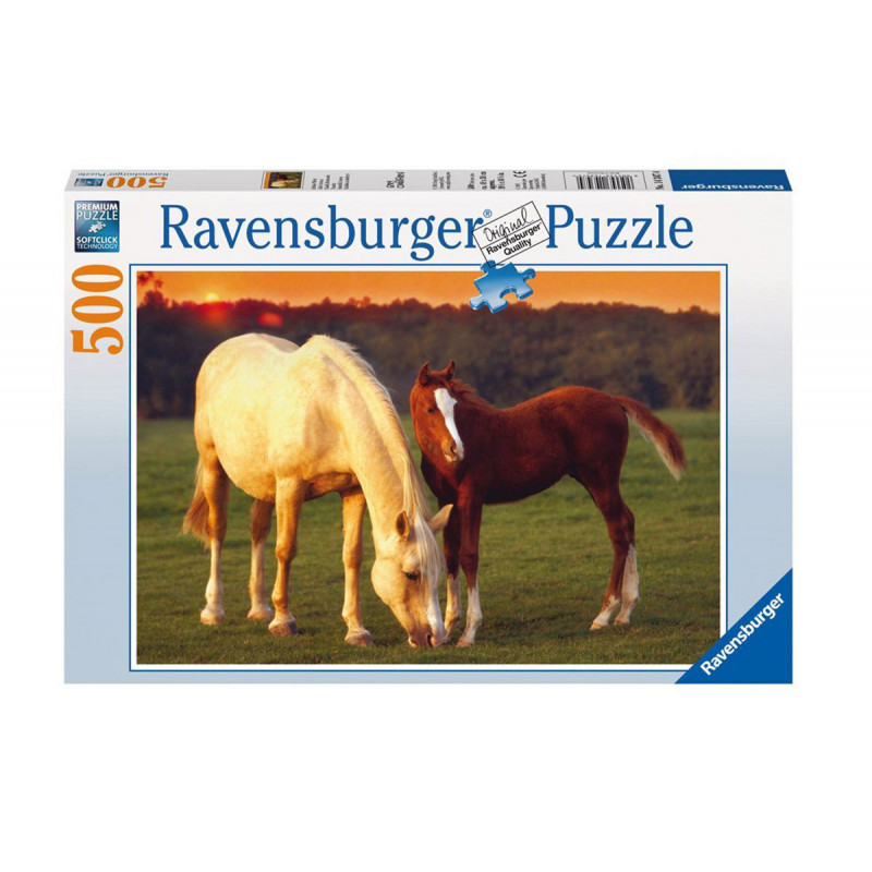 Puzzle 2D cai frumoși  10993