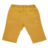 Pantaloni de bumbac pentru bebeluș maro Chicco 110818 2