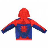 Hanorac de băieți, Spider-Man Spiderman 1110 2