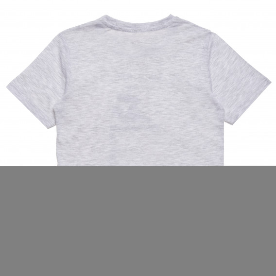 Tricou de bumbac pentru băieți cu imprimeu amuzant, gri Acar 114410 4