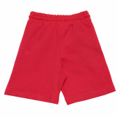 Pantaloni scurți de băieți cu imprimeu „59”, roșu Acar 114811 3