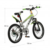 Bicicletele Lucas pentru copii, 18”, de culoare gri ZIZITO 115031 3