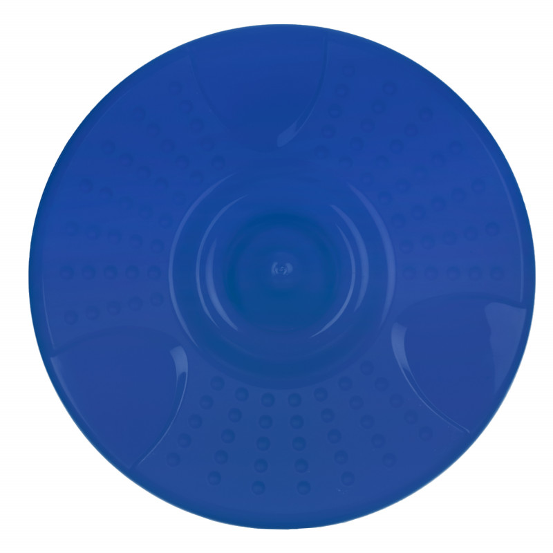 Frisbee, albastru  115233