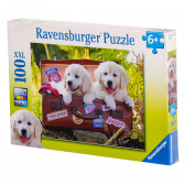 Puzzle cu cățeluși, marca Ravensburger Ravensburger 116255 3