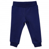 Pantaloni pentru băieți, albaștri Birba 116623 
