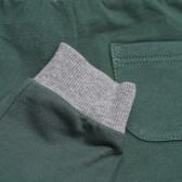 Pantaloni unisex din bumbac, verde / gri Idexe 117147 3