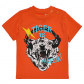 Tricou din bumbac pentru bebeluși, portocaliu cu imprimeu tigru Chicco 117875 
