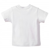 Tricou din bumbac pentru copii, sport Chicco 118069 4