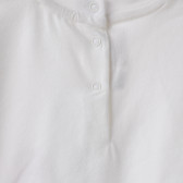 Bluză de bumbac pentru copii, iepure Chicco 118200 3