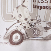 Tricou din bumbac, cu imprimeu câine, pentru băieți Chicco 118243 2