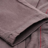 Pantaloni pentru băieți, gri Birba 120126 6
