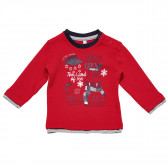 Bluză din bumbac cu mânecă lungă pentru băieți, roșu Idexe 123387 