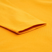 Bluză din bumbac cu mânecă lungă, pentru băieți, portocaliu Idexe 123402 4