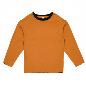 Bluză din bumbac cu mânecă lungă, cu guler contrastant, portocaliu Idexe 123720 