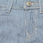 Pantaloni scurți din bumbac, cu dungi, pentru băieți Benetton 131657 3