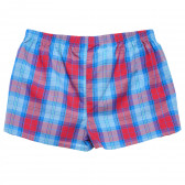 Pantaloni scurți pentru băieți, în carouri ZY 142281 4