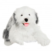 Câinele păstor Shaggy - 100 cm Amek toys 143699 