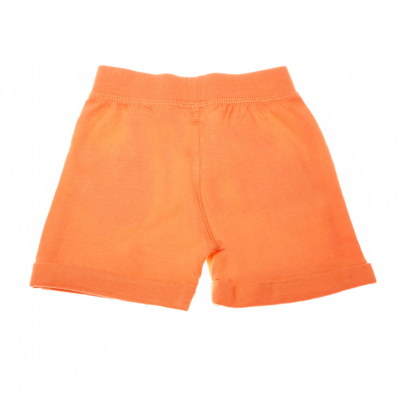 Pantaloni scurți portocalii, din bumbac cu șnur  147843 2