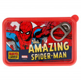 Cutie alimentară de utilizare zilnică Spiderman, 10 x 15,8 cm Spiderman 153184 2