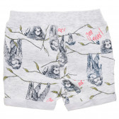 Pantaloni scurți cu imprimeu gri pentru băieți Name it 154566 4
