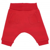Pantaloni reversibili din bumbac pentru bebeluși Boboli 155193 