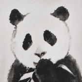 Bluză albă din bumbac cu imprimeu panda, pentru fetițe Benetton 160433 3