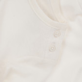 Bluză albă din bumbac cu mâneci lungi și imprimeu koala, pentru fetițe KIABI 160730 3
