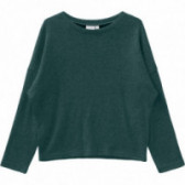 Bluză cu mâneci lungi în stil "liliac" pentru fete, verde închis Name it 160818 