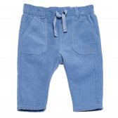 Pantaloni din bumbac, albastru, pentru bebeluși, băieți  Birba 162733 