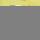 Bluză din bumbac cu mâneci lungi de culoare verde Benetton 163449 2