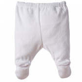Set de pantaloni pentru băieței cu picior întreg, multicolori Chicco 165375 2