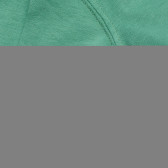 Tricou din bumbac pentru băieți, verde închis Benetton 168414 3