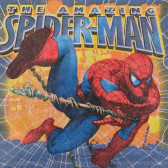Șervețele - Spiderman pentru băieți  170373 2