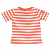 Bluză din bumbac cu mâneci scurte pentru băieți, portocaliu Tape a l'oeil 170781 4