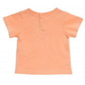 Bluză de bumbac, pentru băieți, portocalie Tape a l'oeil 171061 4