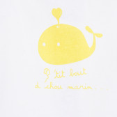 Bluză albă din bumbac cu design galben pentru fetițe Tape a l'oeil 171366 2