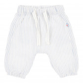 Pantaloni pentru bebeluși din bumbac albi și albaștri Tape a l'oeil 173327 