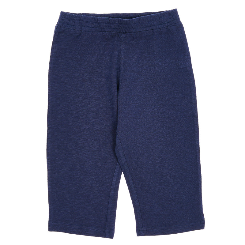 Pantaloni de bumbac de culoarea albastră pentru băieței  173347