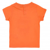 Bluză de bumbac pentru băieți, culoare portocalie Tape a l'oeil 174768 8