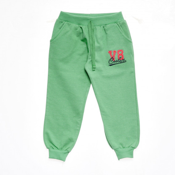 Pantaloni sport cu imprimeu mic pentru băieți, verzi Acar 176084 