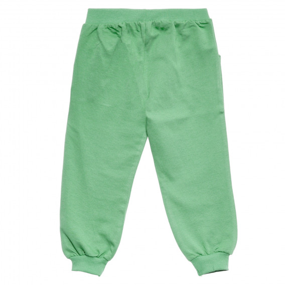 Pantaloni sport cu imprimeu mic pentru băieți, verzi Acar 176087 4