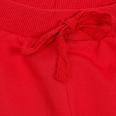Pantaloni sport cu inscripție 64 pentru băieți, roșu Acar 176293 2